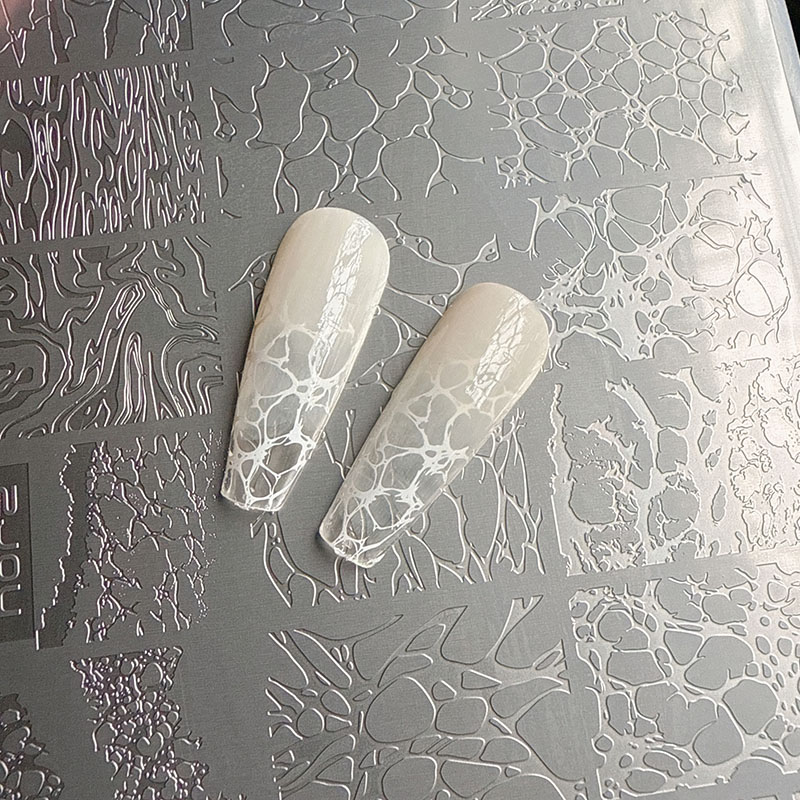XMQ NAIL ART STAMPING PLATES B - Nail Art Stamping Kit 评论和价格