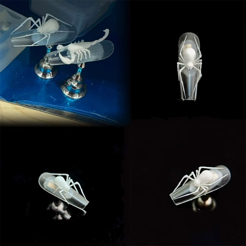 3D Spider Scorpion Silicone Na - Nail Art Stamping Kit 评论和价格